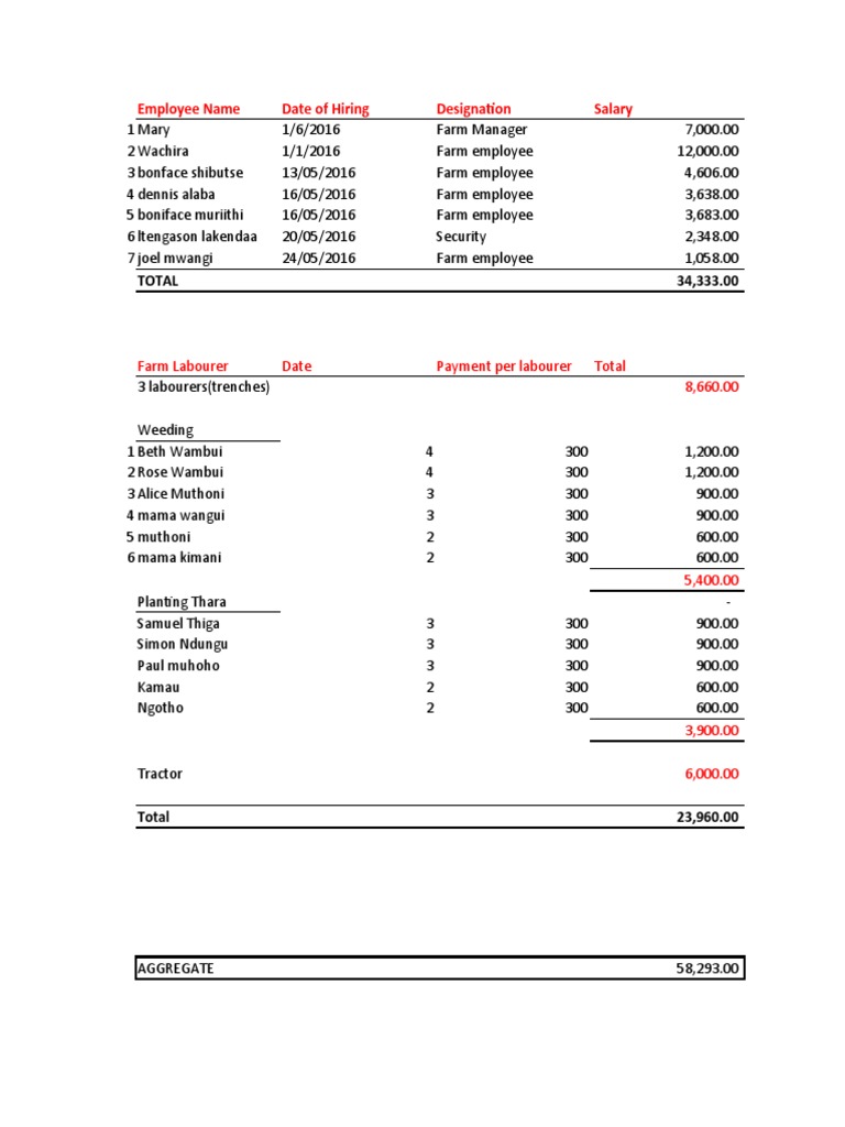 Employee Salary Breakdown Report | PDF | Adulthood | Factor Income ...