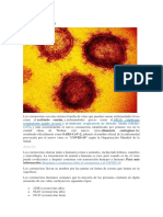 Qué es el nuevo Coronavirus