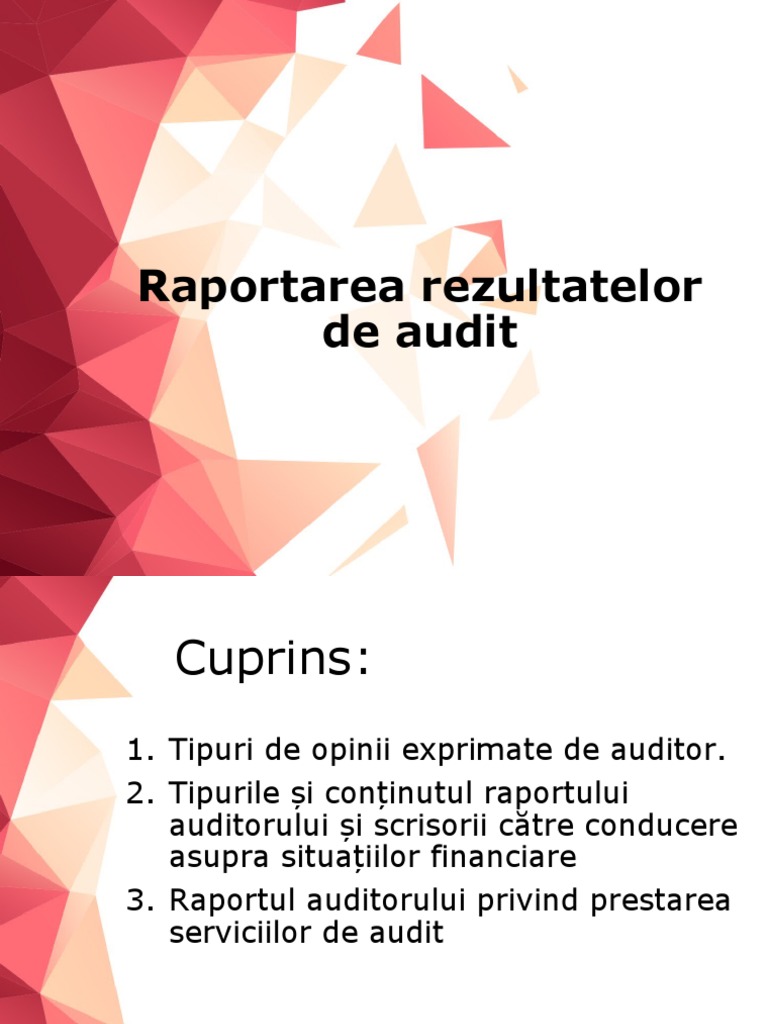 Raportarea Rezultatelor de Audit | PDF