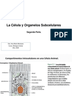 Clase 4 Célula y Organelos Subcelulares II 2020 PDF