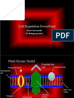 Cell Regulation Powerpoint: James Korcienski Ap Biology Period 2