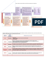 Organismos Unicelulares y Pluricelulares