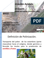 Presentacion de Polinización Asistida BPD PDF