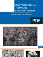 Psicología Y Desarrollo Humano: Sesión #05: Sensación Y Percepción