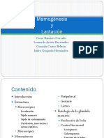 Mamogenesis PDF