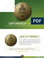 Presentacion - Triskel (1) - 4 PDF