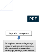 Anfis Sistem Reproduksi