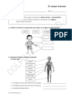 El Cuerpo Humano Profe Jose PDF