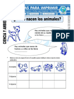 Ficha de Como Nacen Los Animales para Segundo de Primaria