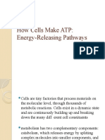 How Cells Make ATP