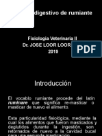 Sistema Digestivo de Rumiante: Fisiología Veterinaria II Dr. Jose Loor Loor. 2019