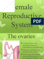 Female Reproductive System