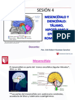 CLASE_4_MESENCÉFALO-DIENCÉFALO-ROMBENCÉFALO