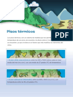 Pisos Termicos PDF