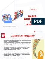 CLASE_11-BB_LENGUAJE