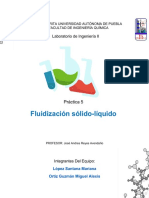 Práctica 5. Fluidización Sólido-líquido.pdf