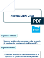 CPT 10 - Normas Apa-Citas PDF