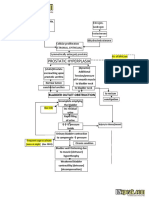 Benign Prostatic Hyperplasia BPH Pathophysiology Schematic Diagram PDF