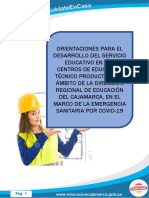 Orientaciones CETPRO 2020 (1)