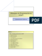 Principios de Programaion step 7.pdf