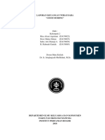 Ueka - Kelompok 2 - Laporan Keuangan Wirausaha PDF