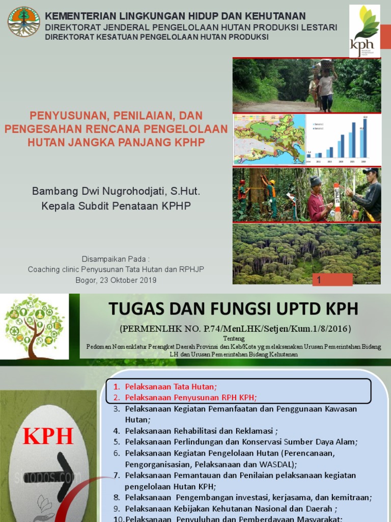 Rencana Pengelolaan Hutan KPHP | PDF