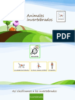 Animales Invertebrados - Clasificación