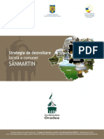 53-diagnostic sanmartin.pdf