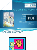 CT Head Anatomy & Pathology.pdf