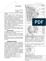 -Anatomia%20y%20Fisiologia