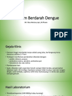 DR Rina Demam Berdarah Dengue PDF