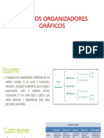 ALGUNOS ORGANIZADORES GRÁFICOS EN PDF
