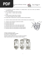 Ficha biologia 10_transporte-nos animais-explicação