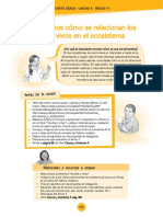 cadena .pdf