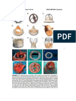 Echocardiography Report Template - EDEC Logbook 2023 | PDF ...