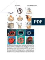 SDL 20 Prosthetic Heart Valves BMS16091064