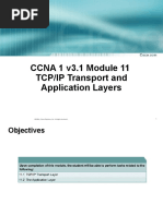 CCNA 1 v3.1 Module 11 TCP/IP Transport and Application Layers