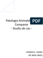 Patologia Animalelor de Companie