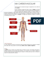 O Sistema Cardiovascular