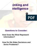 Problems With IQ Tests