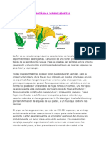 Flor y Fruto PDF