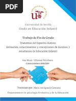 TEA Formacion, Conocimientos y Concepciones Docentes