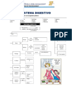 Sistema Digestivo 2020 5to