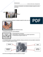 4to Examen de Traumatologia Arreglado