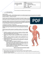 1 Guia 2p c4 PDF