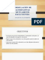 Formulaciòn de Alternativas Mutuamente Excluyentes