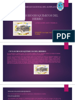 Ciclos Biogeoquimicos Del Hierro