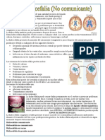 Hidrocefalia 1.3