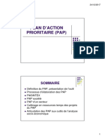 Plan D'action Prioritaire PDF