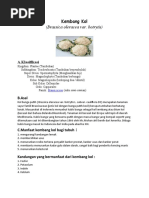 Download Kembang Kol by Slamat Agung Haryadi SN46529894 doc pdf